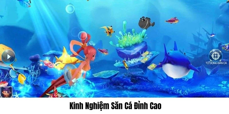 Bạn nắm bí kíp dễ chiến thắng game hơn