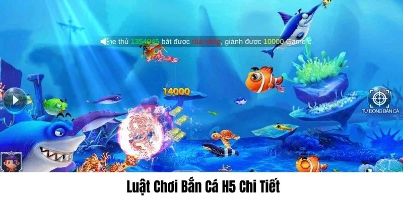 Luật lệ cho bet thủ nắm rõ khi bắt đầu chơi