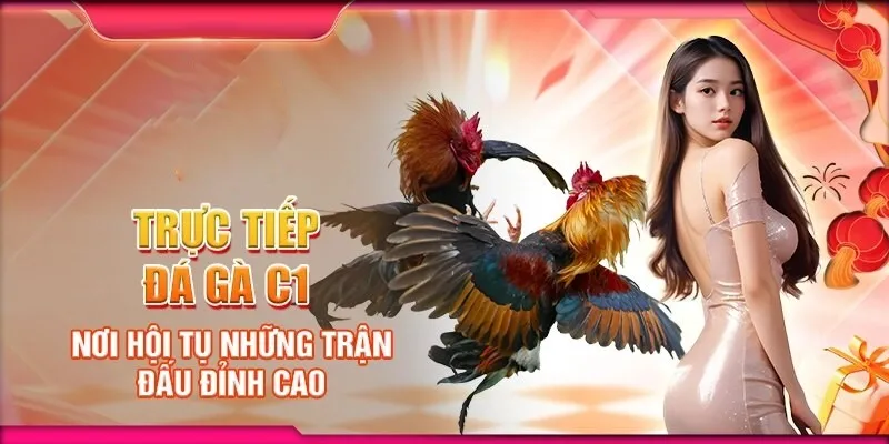 đá gà c1 hubet