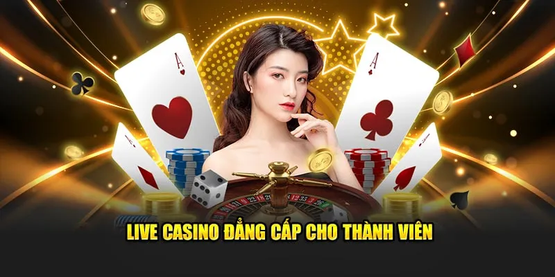 Live casino đẳng cấp cho thành viên