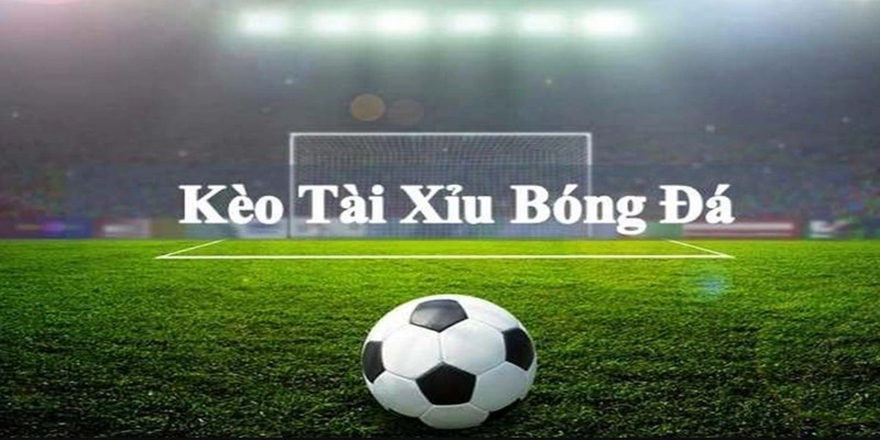 Đặt cược kèo tài xỉu trong thể thao Hubet để tìm kiếm cơ hội thắng lớn